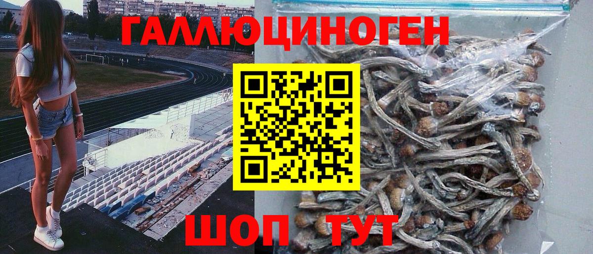 Псилоцибиновые грибы мицелий Клинцы